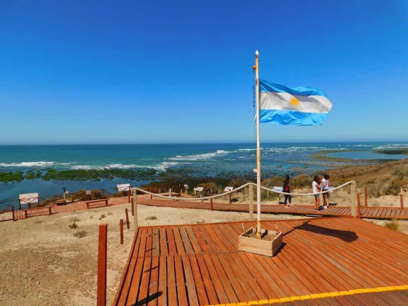 Shore Tours Peninsula Valdes Puerto Madryn Cruise Passengers - Who Should Consider This Tour?