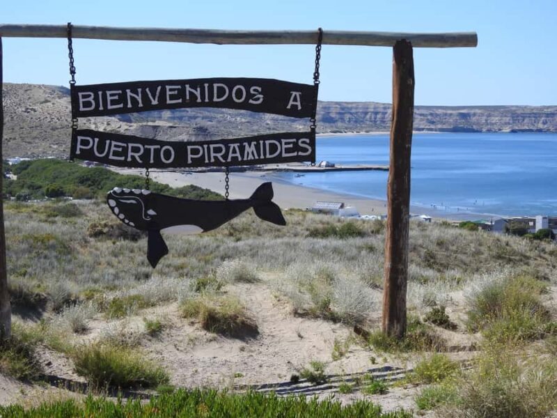 Shore Tours Peninsula Valdes Puerto Madryn Cruise Passengers - Starting Point & Logistics