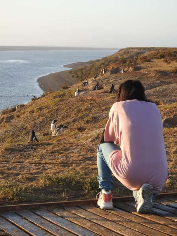 Shore Tours Peninsula Valdes Puerto Madryn Cruise Passengers - Transportation & Comfort