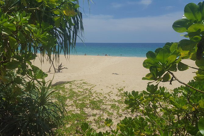 Shoreline Cruise and Secluded Beach - Final Thoughts
