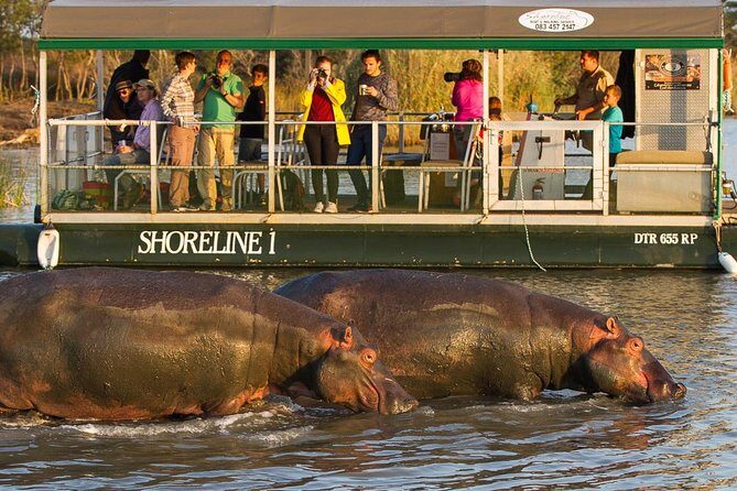Shoreline Hippo and Crocodile Boat Cruises, iSimangaliso Wetland Park - The Sum Up