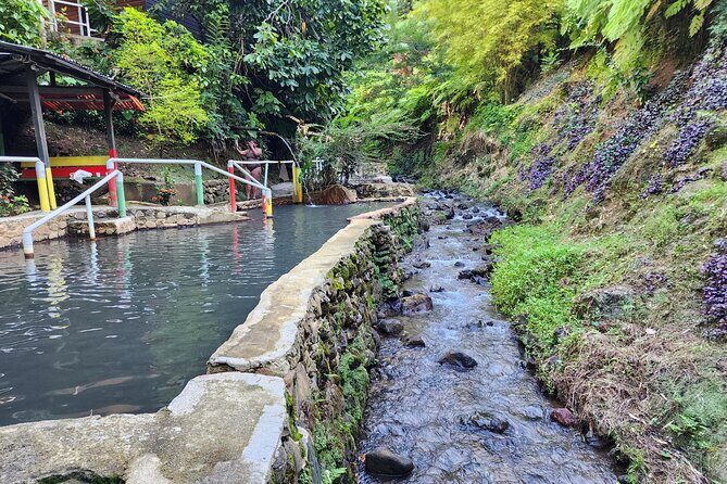 Shoreside Fun-Day with Titou Gorge, Hot Springs & Champagne Reef - Who Will Love This Tour?