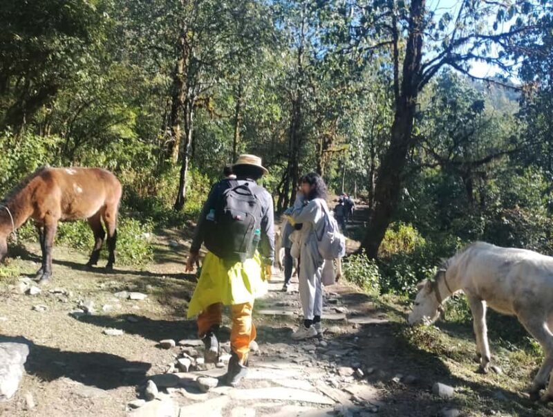 Short Day Trek: Pothana & Australian Camp from Pokhara - Practical Details that Matter