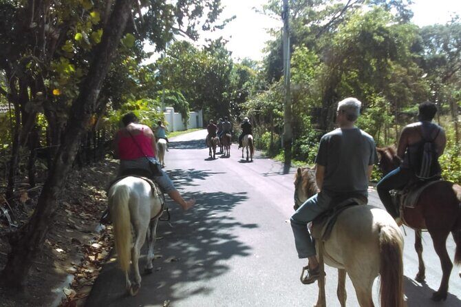 Short Excursion horseback riding tours on the beach and mountain - Final Thoughts: Is This Tour Worth It?