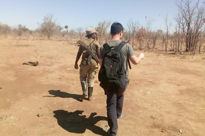 Short Rhino safari walk. - FAQs About the Rhino Safari Walk
