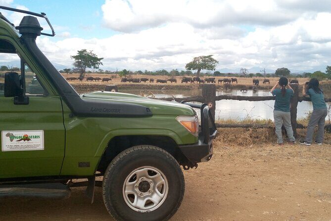 Short Safari from Dar es Salaam to Mikumi National Park - 2 Days - Who Is This Tour Best For?