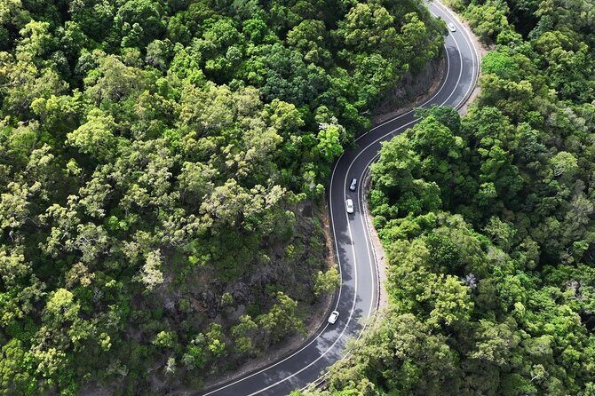 Shuttle Bus Transfer - Kuranda TO Cairns City - The Sum Up