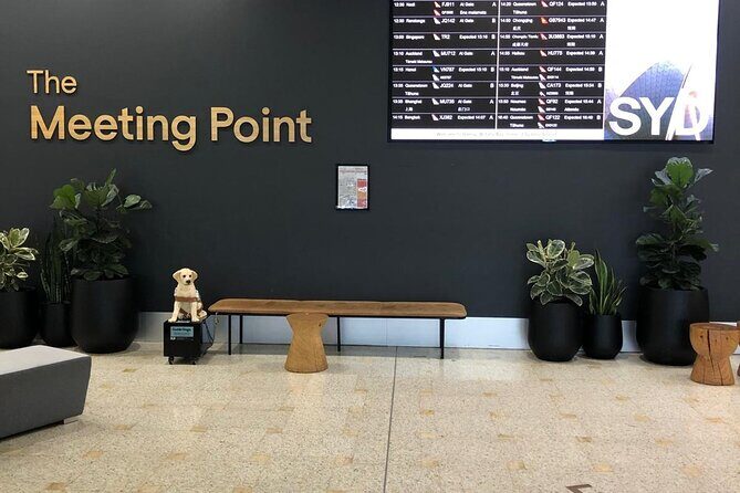 Shuttle Transfer from Sydney Airport to Cruise Ship Terminal at Circular Quay - Frequently Asked Questions