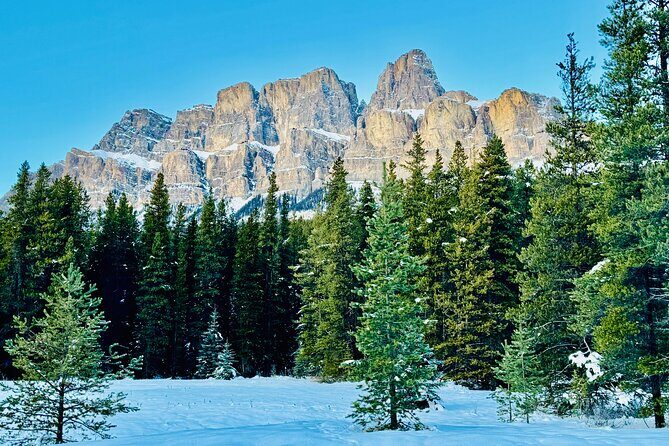 ShuttleBus 2way Banff to Lake Louise (1Hr) and Moraine Lake (1Hr) - Who Should Consider This Tour?