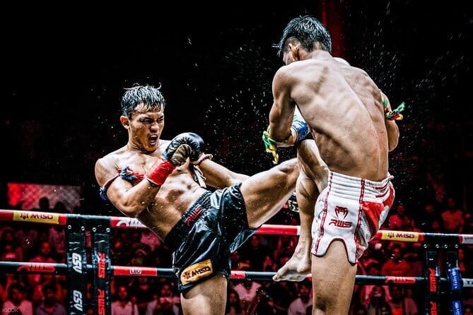 Siam Fantasy Cultural and Martial Arts Show - The Value of the Ticket