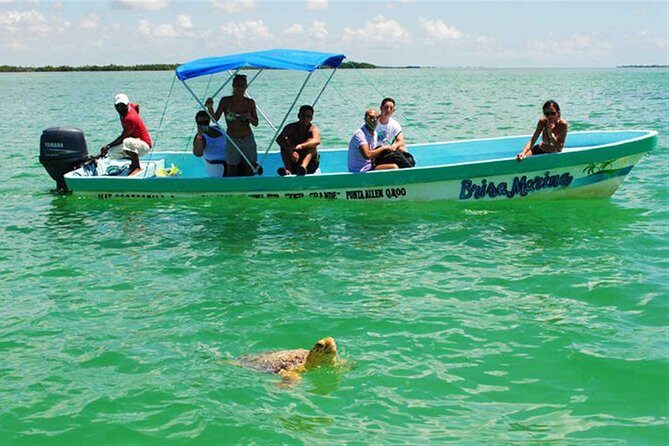 Sian Ka'an Biosphere Full Day Boat Tour with Lunch - The Sum Up