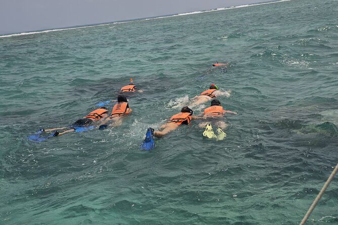 Sian Ka'an Biosphere Reserve Tour from Cancun - What Travelers Are Saying