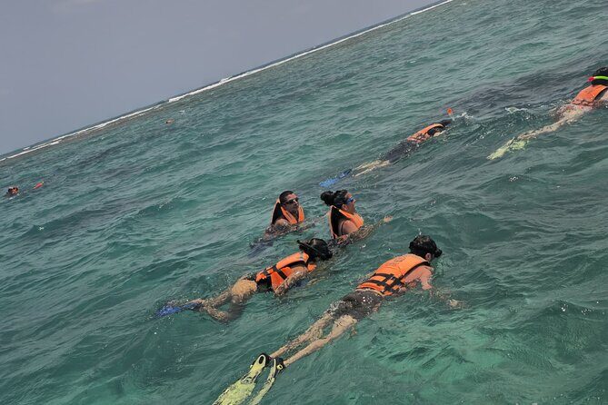 Sian Ka'an Biosphere Reserve Tour from Cancun - Frequently Asked Questions