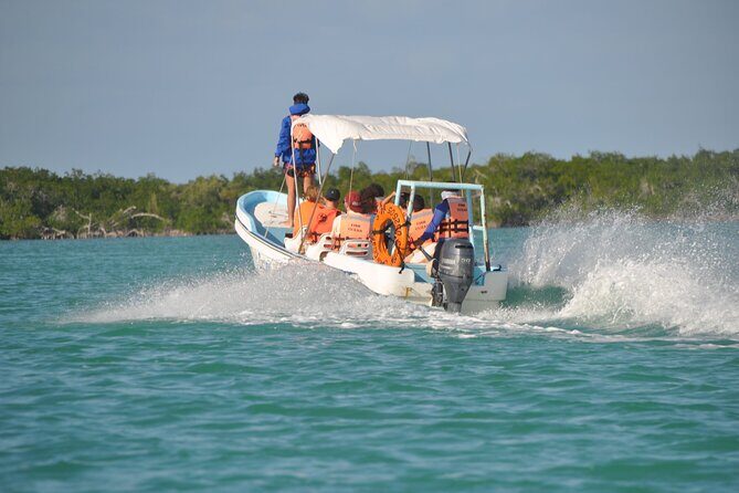 Sian Ka'an Boat Experience from Riviera Maya to Tulum - The Experience and Its Pacing