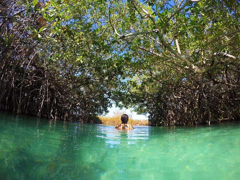 Sian Ka'an Channels and Underground River - Private Tour - A Closer Look at the Experience