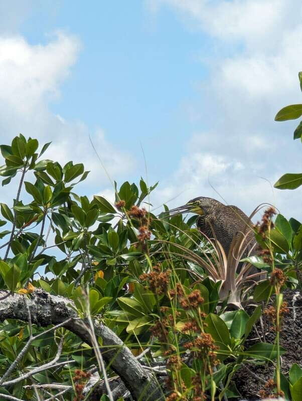 Sian Ka'an Channels and Underground River - Private Tour - Making the Most of Your Day