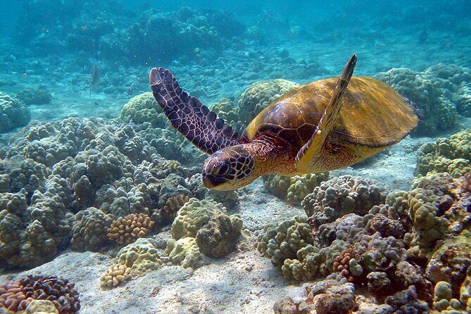 Sian Kaan Eco Adventure! Round Transportation From Playa Del Carmen - Who Is This Tour Best For?