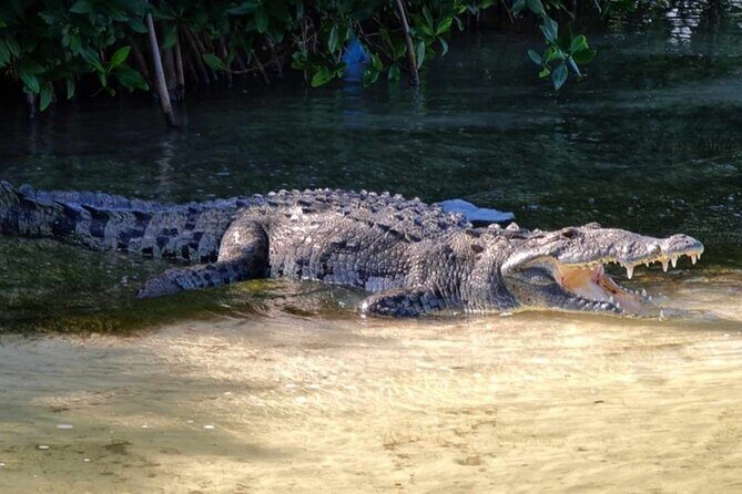 Sian Kaan Reserve Private Bike Tour - Key Points