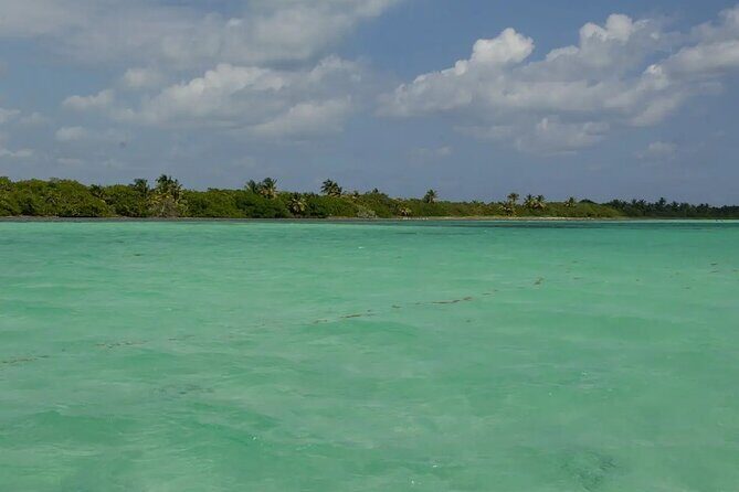 Sian Kaan Reserve Private Bike Tour - What to Expect from the Tour