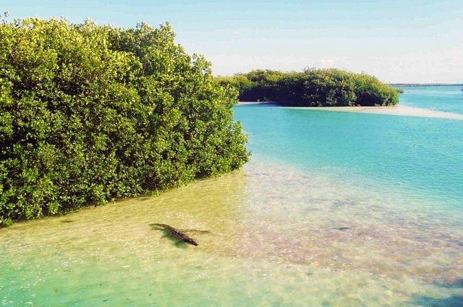 Sian Kaan Reserve Private Bike Tour - FAQ