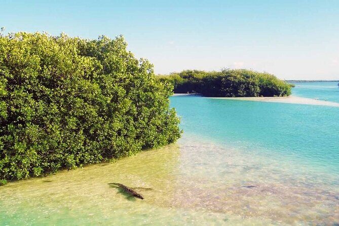 Sian Ka'an Reserve Tour - Discovering Sian Kaan: A Natural Wonder