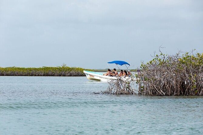Sian Kaan Reserve Tour with Boat Trip and Maya Village Visit - Practical Details and Tips for Your Trip