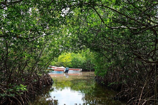 Sian Kaan Reserve Tour with Boat Trip and Maya Village Visit - Who Will Love This Tour?