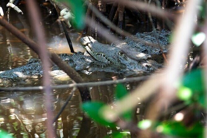 Sian Kaan Reserve Tour with Boat Trip and Maya Village Visit - Final Thoughts: Is It Worth It?
