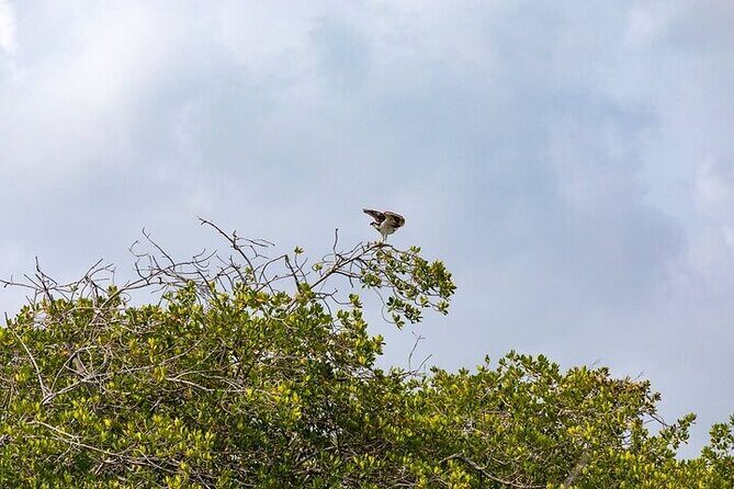 Sian Kaan Reserve Tour with Boat Trip and Maya Village Visit - FAQ