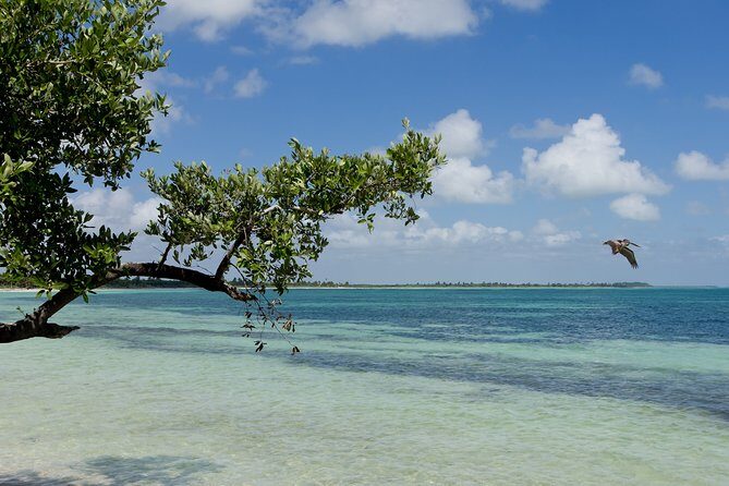 Sian Kaan Tour Contact with Nature! Round Transportation Included - Reviewing the Experience