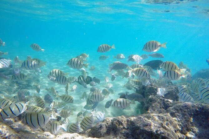 Sian Kaan Tour of Muyil Ruins and a Swim in Magical Cenote - Key Points