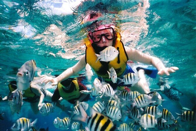 Sian Kaan Tour of Muyil Ruins and a Swim in Magical Cenote - Who Would Love This Tour?
