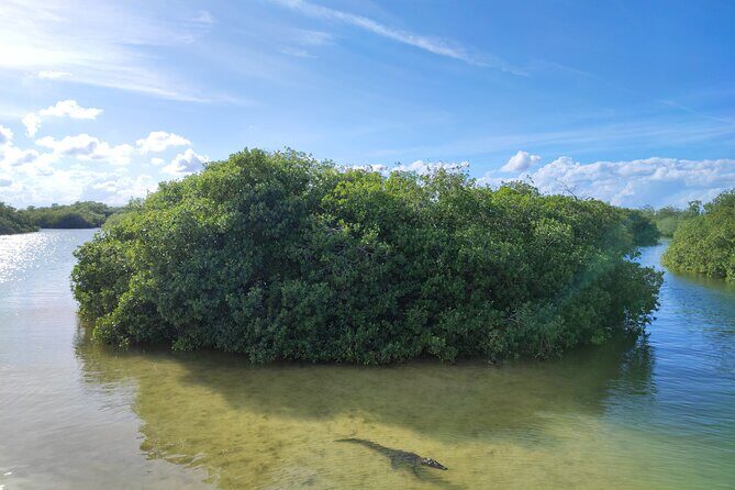 Sian Ka'an Trip from Playa del Carmen & Tulum - Final Thoughts