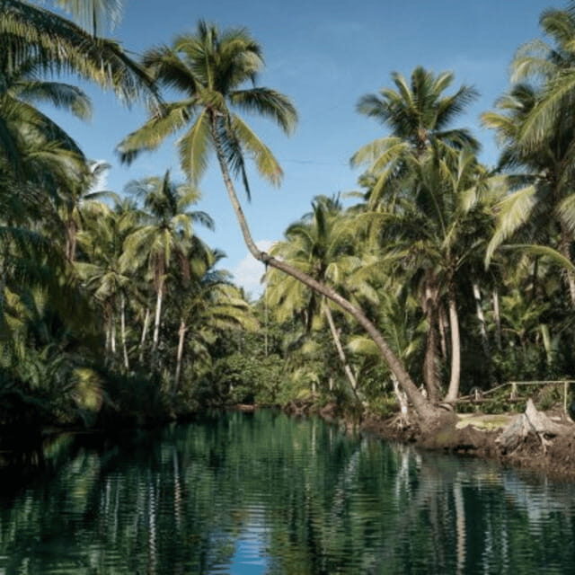 Siargao: Land Tour with Lunch and Sugba Lagoon - A comprehensive look at the Siargao Land Tour