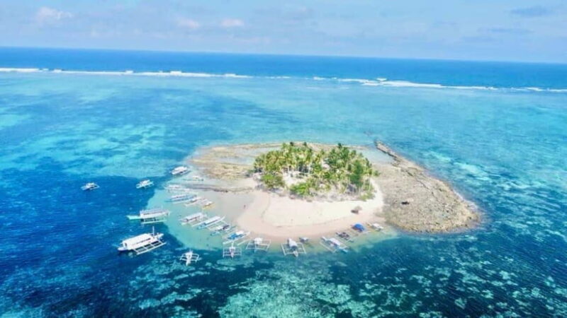 SIARGAO: PRIVATE ISLAND HOPPING GUYAM, DAKU AND NAKED ISLAND - Transport and Logistics