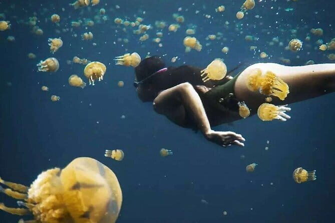Siargao Private Sohoton Bucas Grande Tour with Lunch - Who Should Consider This Tour?