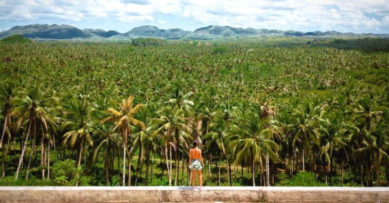 Siargao Tour B (Private Tour) - Exploring the Richness of Siargao on Tour B