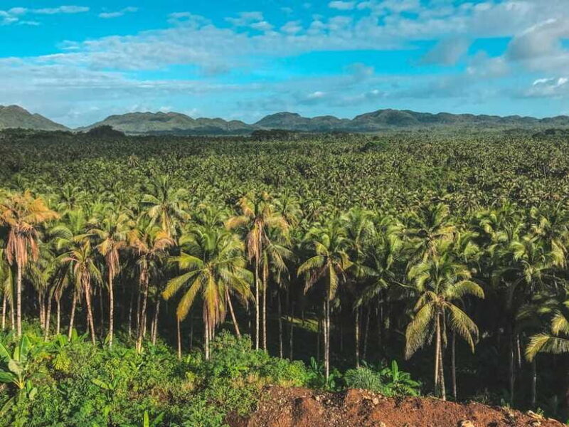 Siargao Tour D (Private Tour) - Practical Tips for Travelers