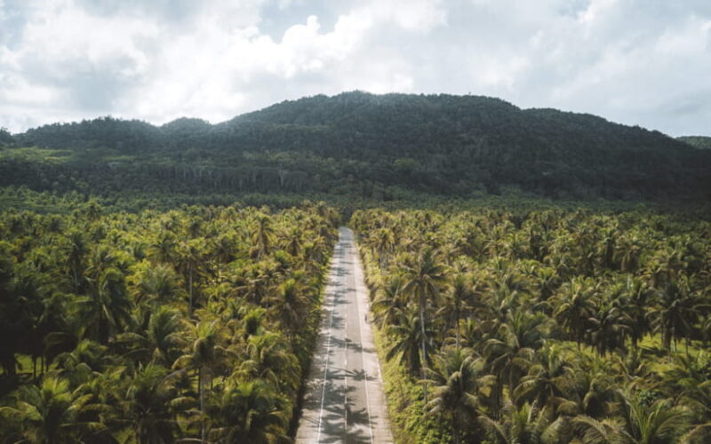 Siargao Tour G (Private Tour) - Who Should Book This Tour?