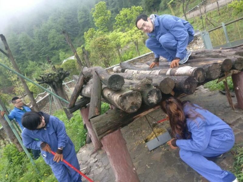 Sichuan: Big Panda Volunteer Day tour - An In-Depth Look at the Tour