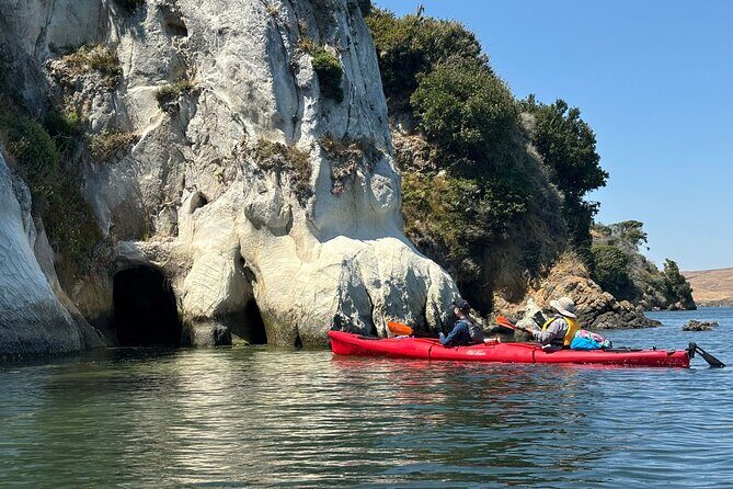 Sick Day Midweek Kayak Tour on Tomales Bay - What’s Included and Why It Matters