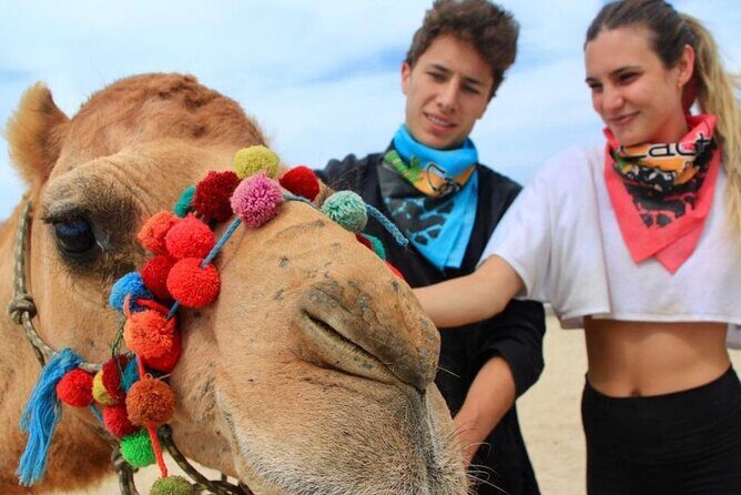 Side by Side and Camel COMBO Adventure - Exploring the Side by Side and Camel COMBO Adventure in Cabo San Lucas