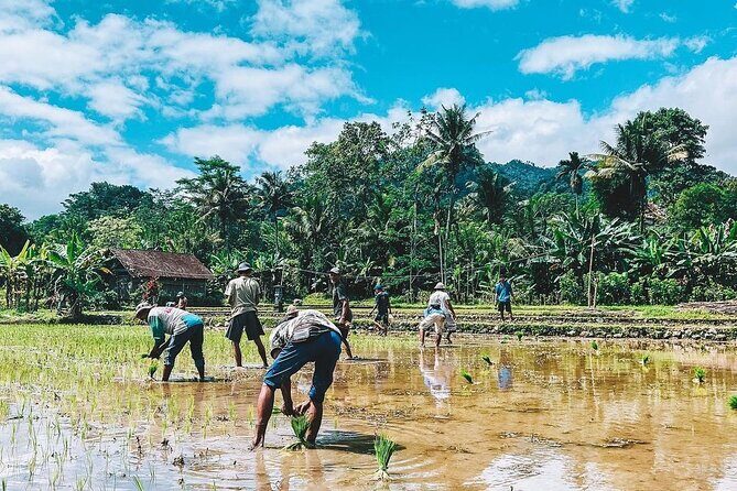 Sidemen Trekking: A Walk from Different Perspective - Who Will Love This Tour?