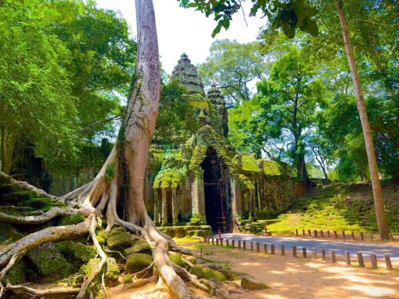 Siem Reap: 2-Days Angkor Wat with Sunrise Small-Group Tour - A Practical Look at the Tour
