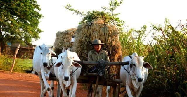 Siem Reap: 3-Hour Ancient Trails Motorbike Tour - Key Points