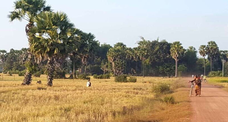 Siem Reap: 3-Hour Ancient Trails Motorbike Tour - Authentic Village Encounters