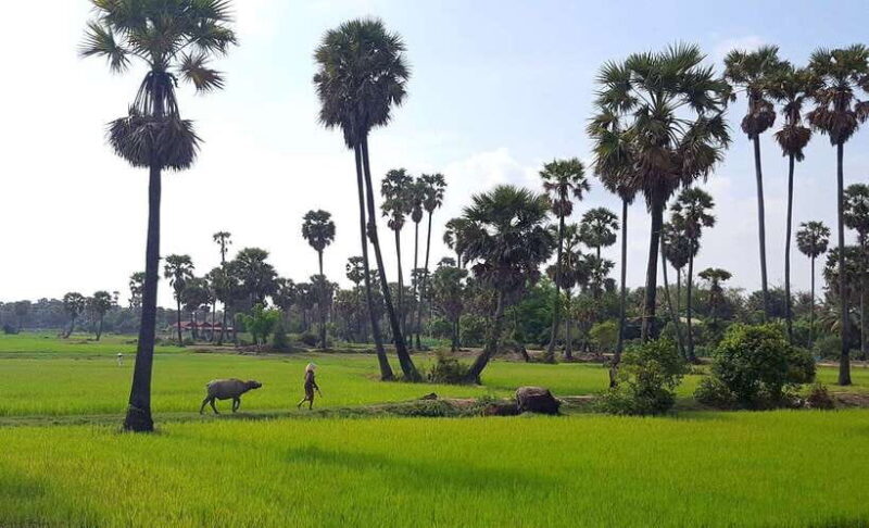 Siem Reap: 3-Hour Ancient Trails Motorbike Tour - Who Will Love This Tour?