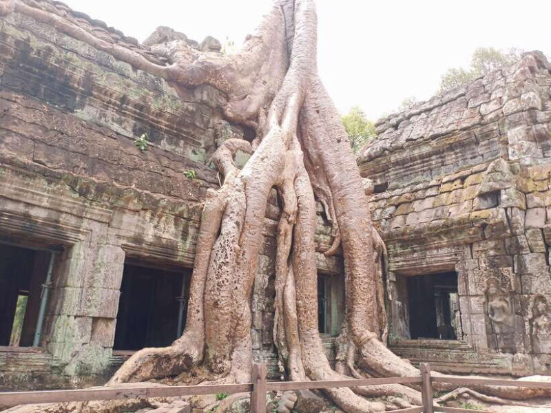 Siem Reap: 4 Hour-Ta Prohm and Banteay Kdei Guided Tour - Introduction: A Short but Sweet Cambodian Adventure