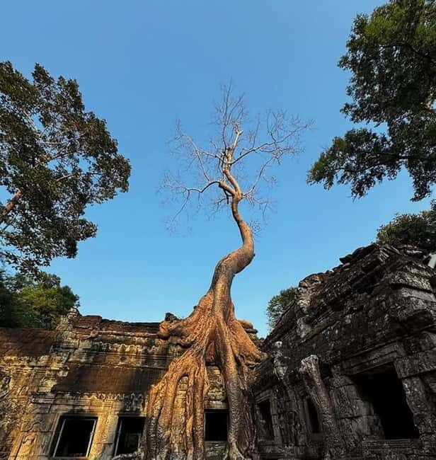 Siem Reap: Angkor 1-Day Private Tour with Sunset or Sunrise - Key Points