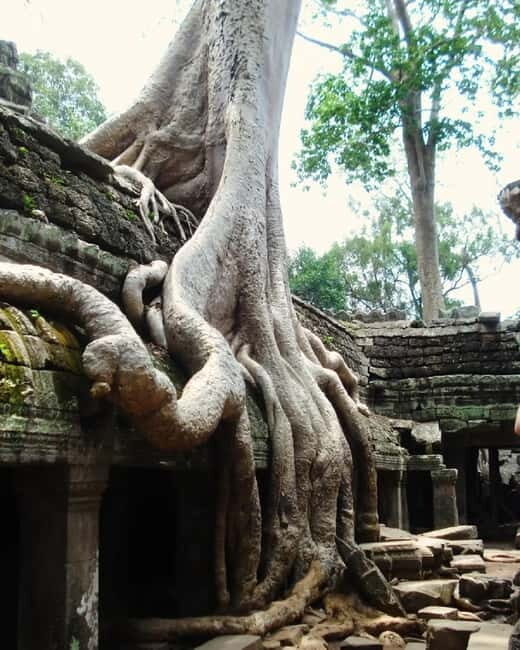Siem Reap: Angkor 1-Day Private Tour with Sunset or Sunrise - What We Appreciated and What to Consider